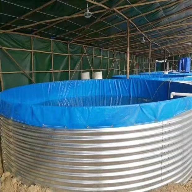 Raise fish need  a good tank