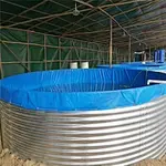Raise fish need  a good tank